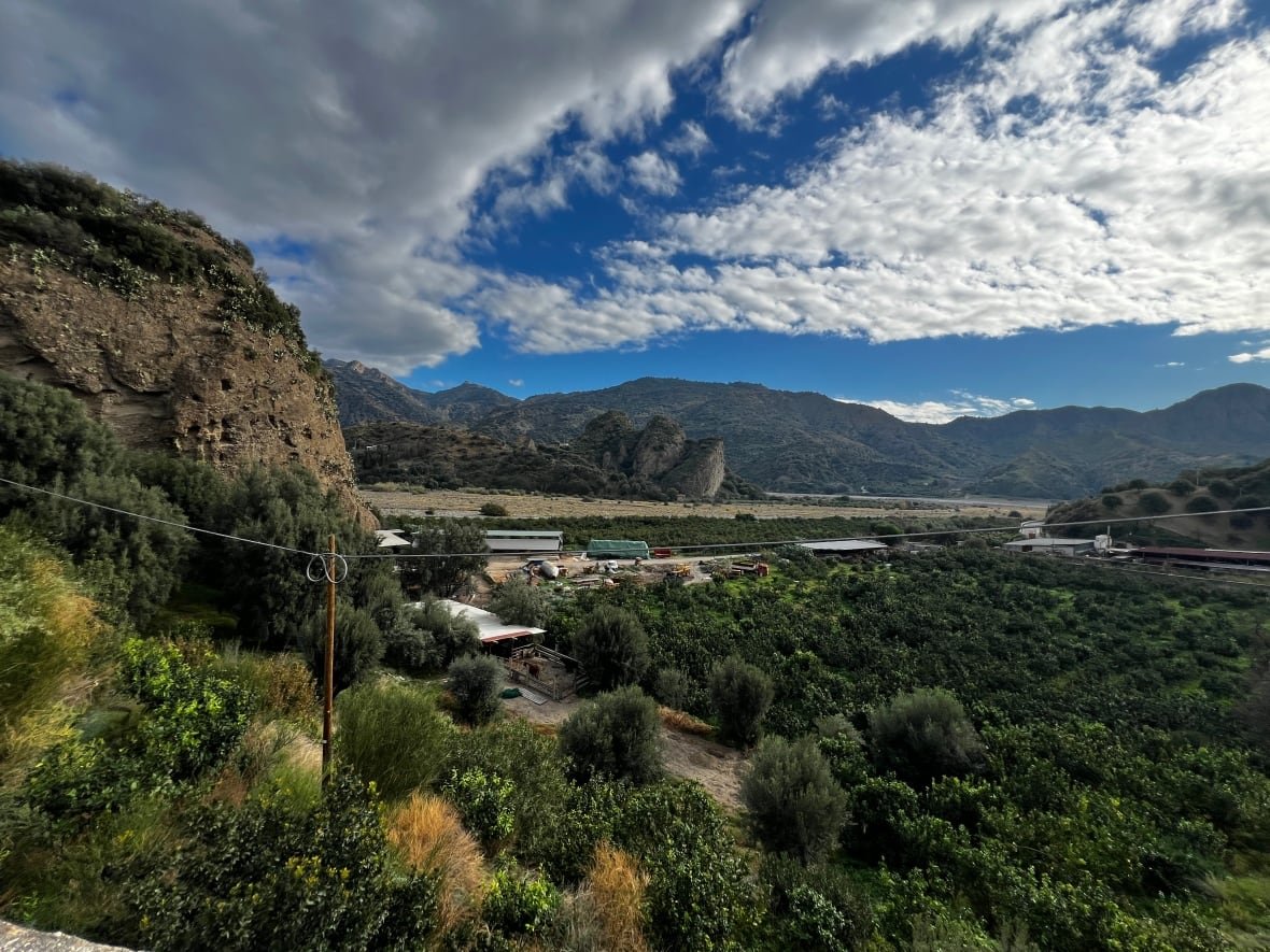 bergamot-italy-microclimate-1 Land where bergamot grows in southern Italy.