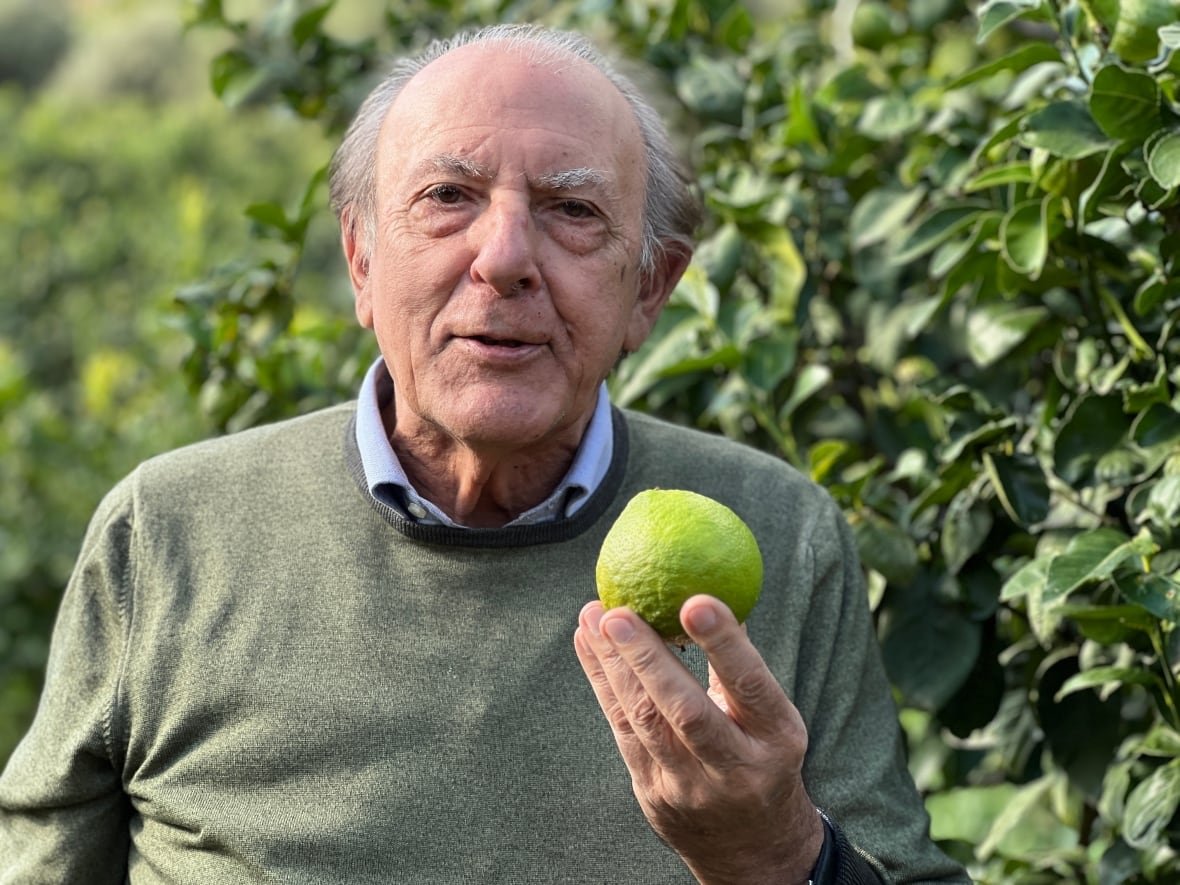 bergomot-italy-3 A man holds a bergamot fruit.