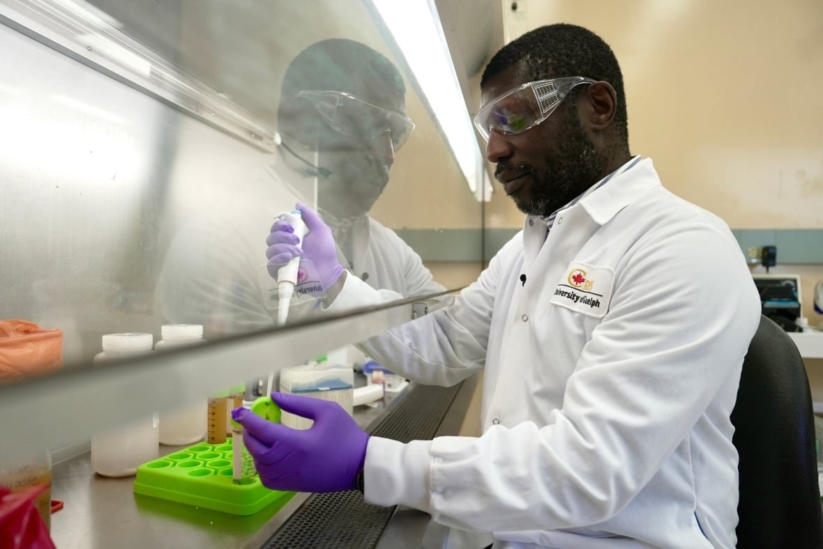 lawrence-goodridge Lawrence Goodridge, director of the Canadian Research Institute for Food Safety and a professor at the University of Guelph, works in his lab.