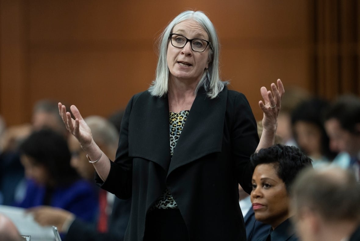 patty-hajdu Patty Hajdu is the Indigenous Services Minister.