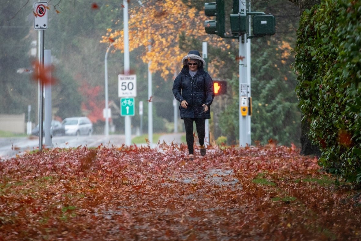 white-rock-storm A woman walks past a pavement littered with leaves, as more leaves are blown by the wind and rain.