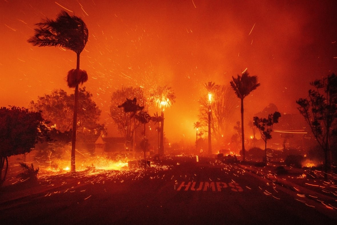 aptopix-california-wildfires-1 A wildfire rages on an urban street, as homes and trees burn.