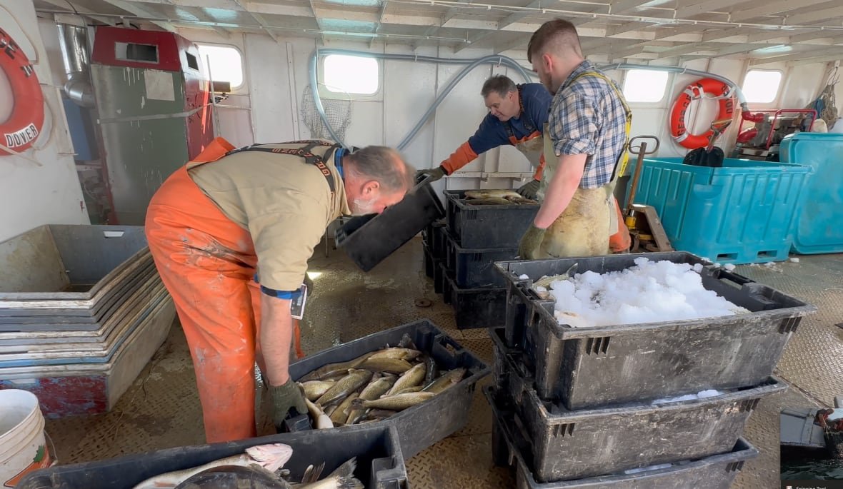 netting-the-waters-fishers-1 Three people in overalls box up fish on a boat.