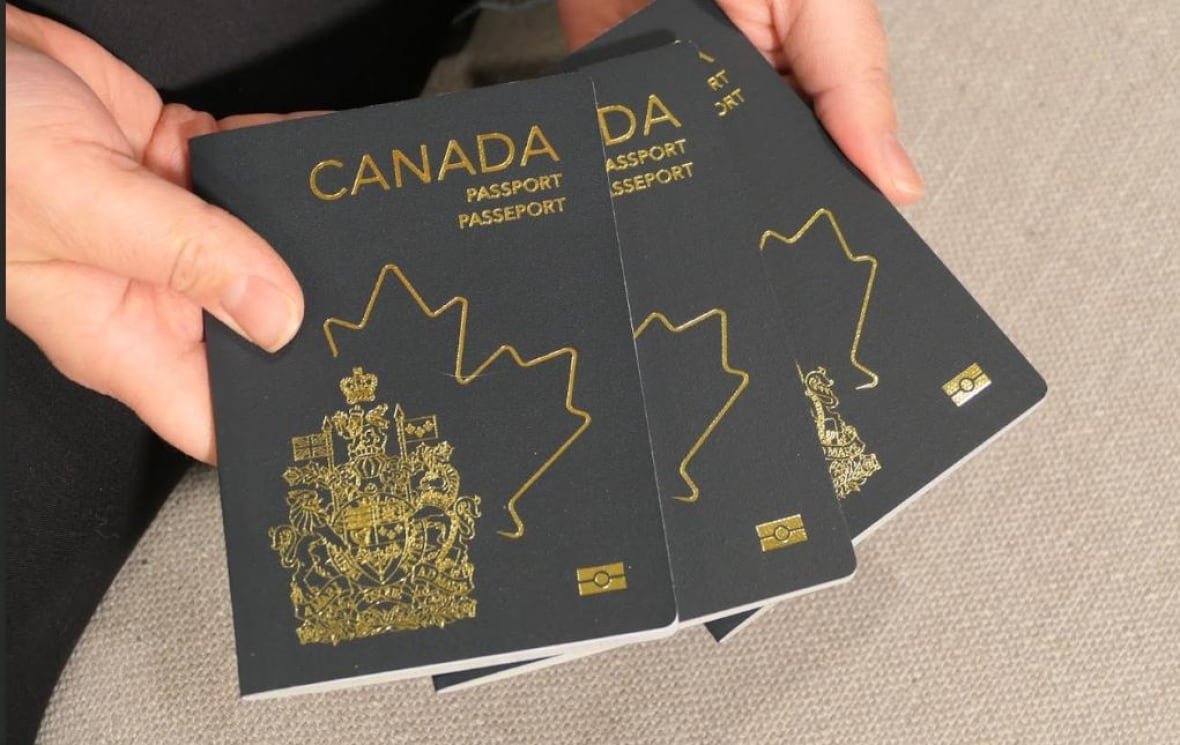 passports Three passports are held in a person's hands.