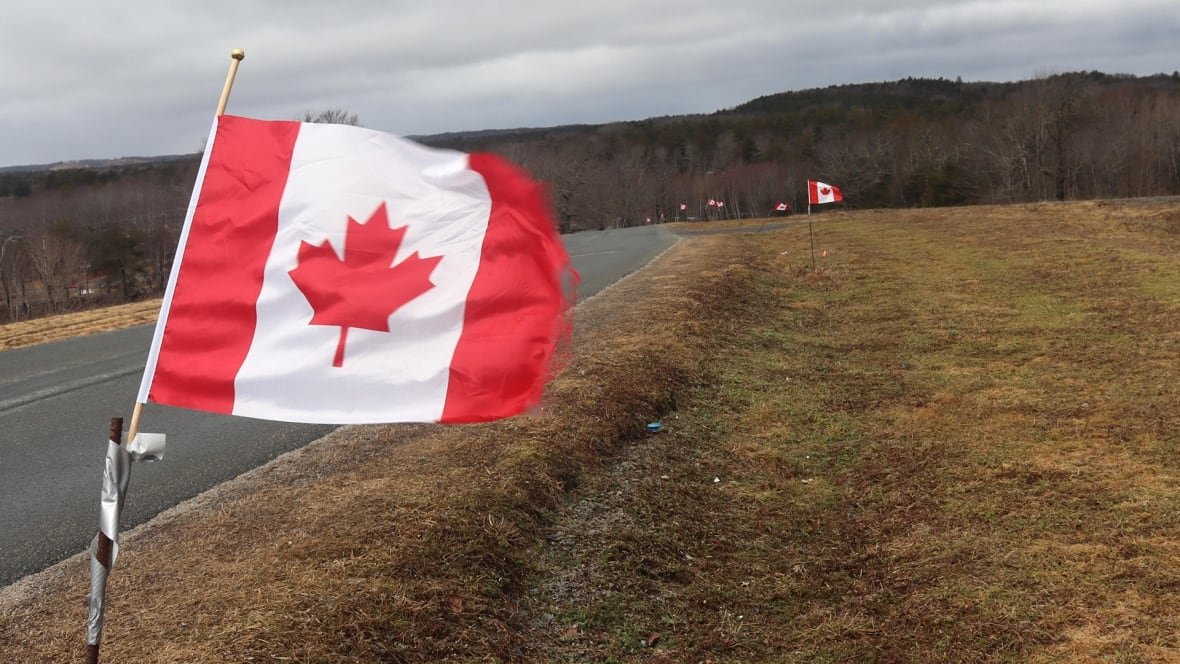canada-flags-bridgewater Canadian flags are seem planted along a rural road.