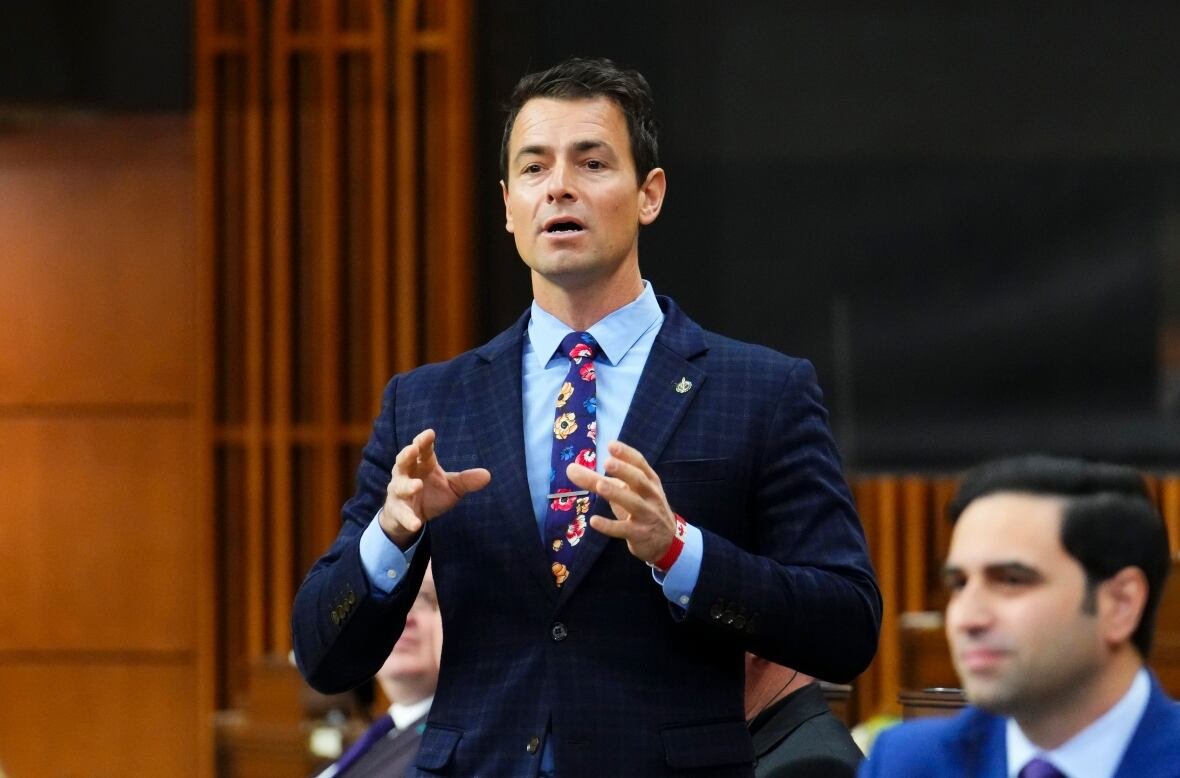 parliament-20241129 A man with short black hair, wearing a blue suit, blue dress and tie with various coloured flowers speaks with hands raised.