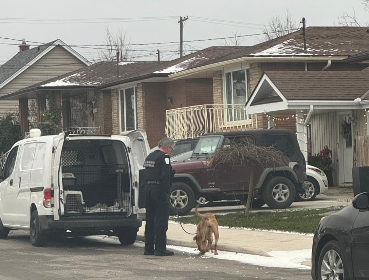 man in uniform stands outside white van with dog on leash