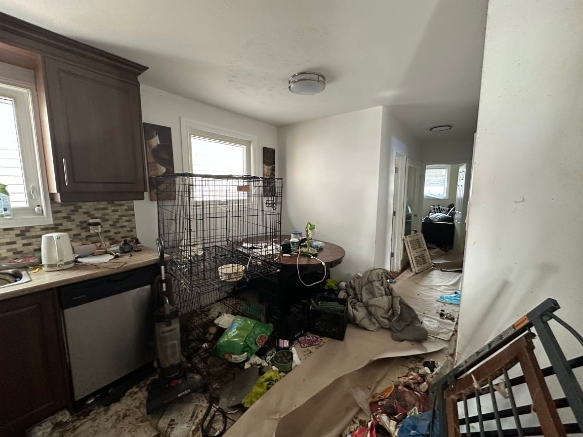a messy room with dishes and garbage littered on floor, table and counters