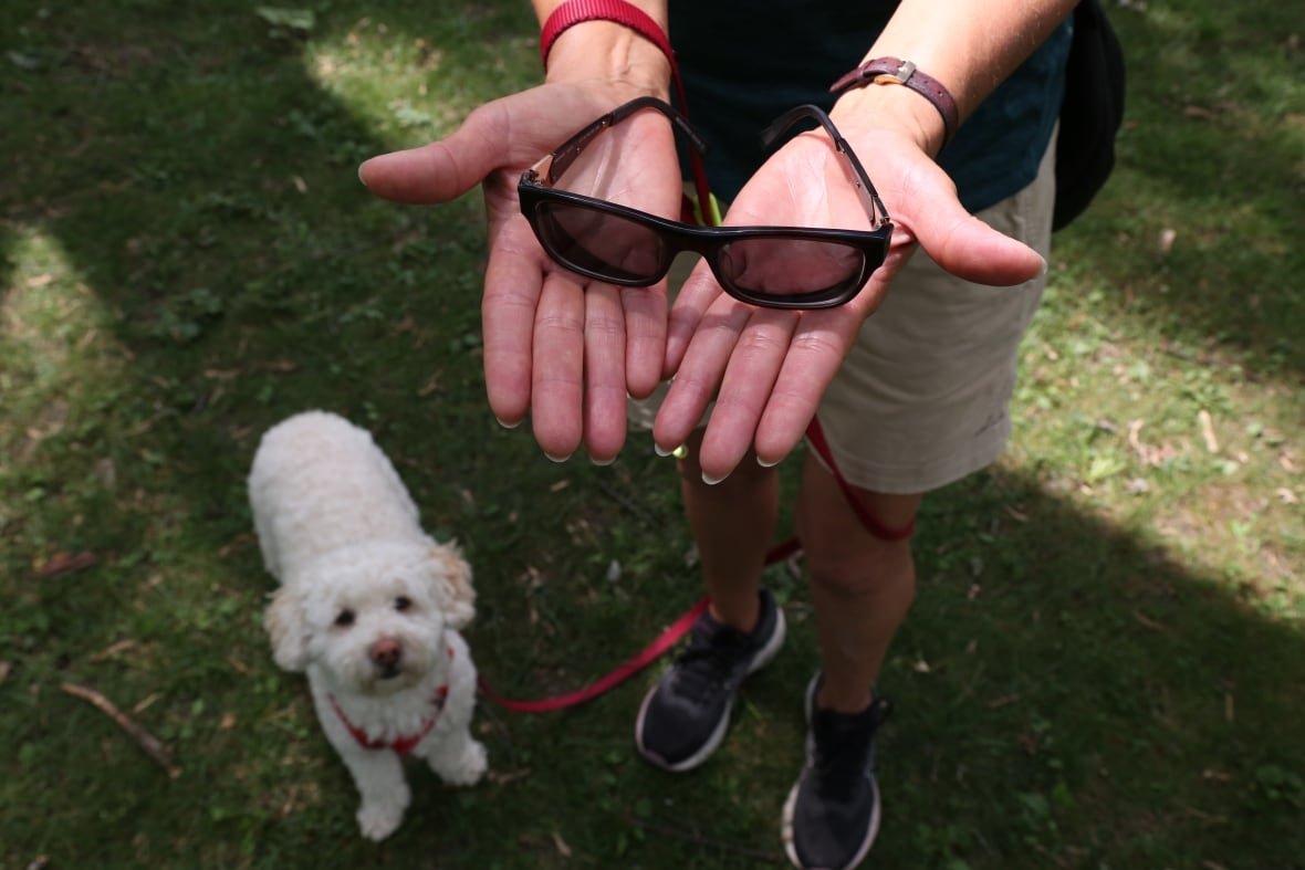 Person holding sunglasses on their palms, a dog in the background looks up at them.