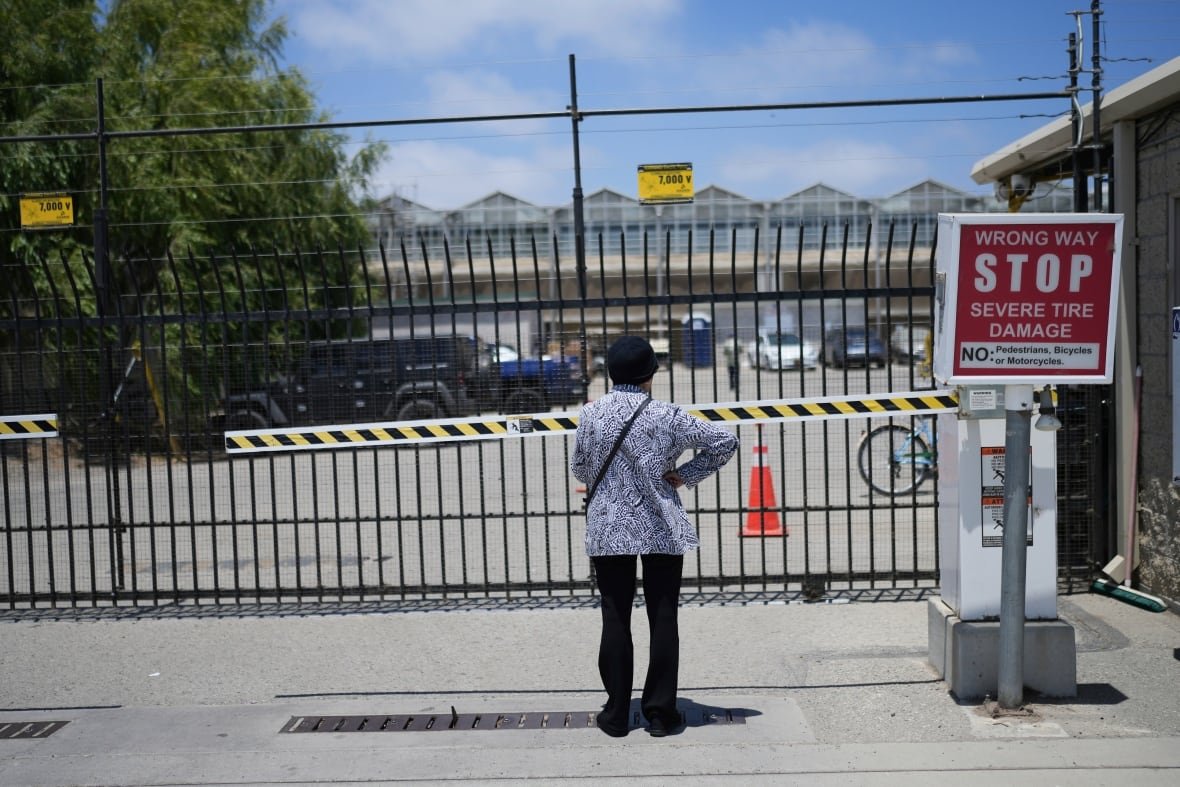 A person with their back to the camera faces an iron fence in front of a building.
