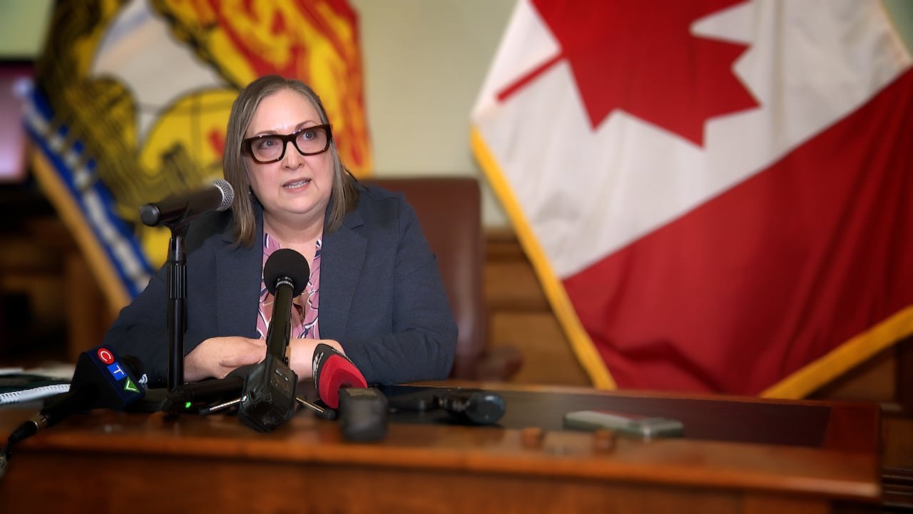 A woman speaking into a microphone with flags in the background.