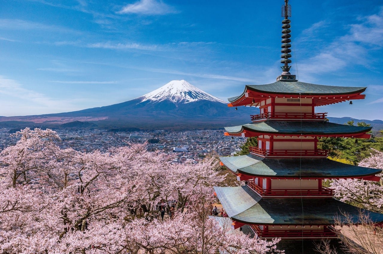 An epic view of a mountain with cherry blossoms in the foreground.