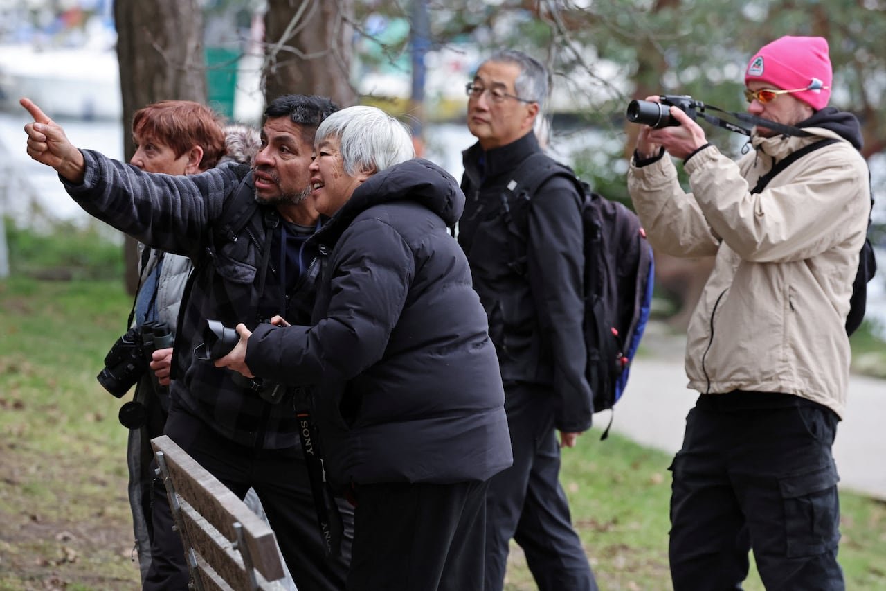 A group of five bird enthusiasts and photographers huddle together pointing at a bird off-camera.
